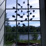 Svärm 2